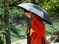 2015-04-27-6018 web 240 Laos Monks Luang Prabang